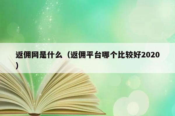 返佣网是什么（返佣平台哪个比较好2020） 