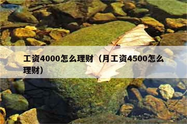 工资4000怎么理财（月工资4500怎么理财） 