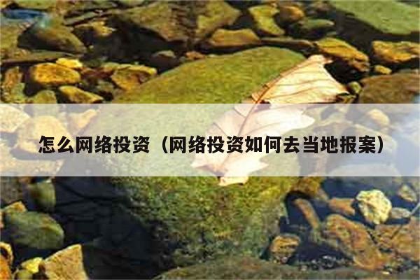 怎么网络投资（网络投资如何去当地报案） 