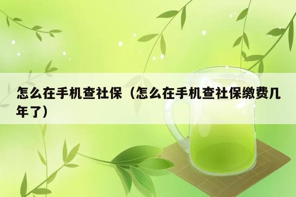 怎么在手机查社保（怎么在手机查社保缴费几年了） 