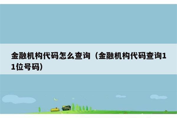 金融机构代码怎么查询（金融机构代码查询11位号码） 