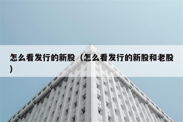 怎么看发行的新股（怎么看发行的新股和老股） 