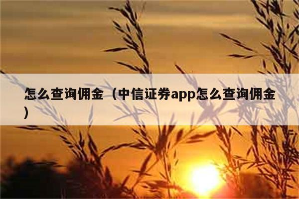 怎么查询佣金（中信证券app怎么查询佣金） 