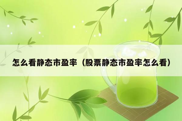 怎么看静态市盈率（股票静态市盈率怎么看） 