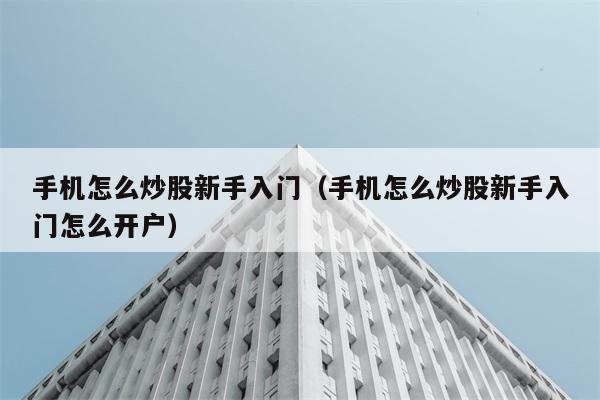 手机怎么炒股新手入门（手机怎么炒股新手入门怎么开户） 