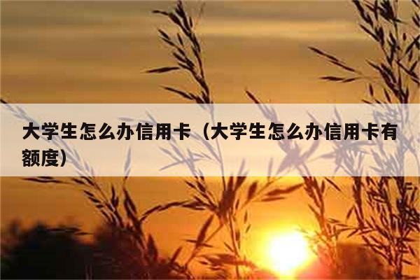 大学生怎么办信用卡（大学生怎么办信用卡有额度） 