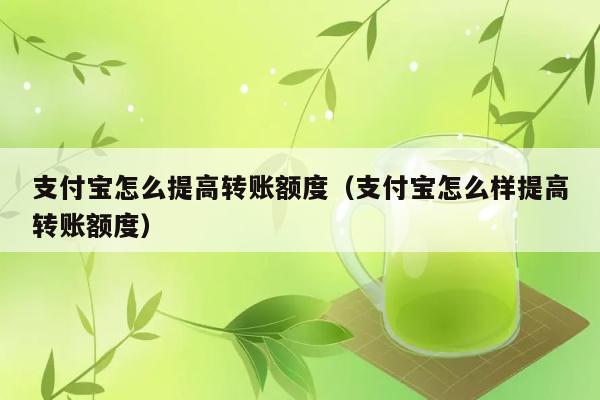 支付宝怎么提高转账额度（支付宝怎么样提高转账额度） 