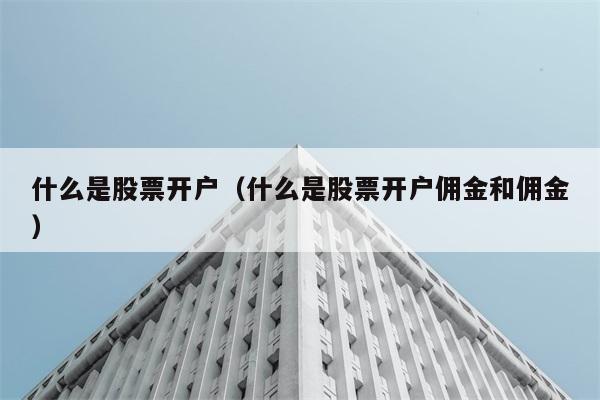 什么是股票开户（什么是股票开户佣金和佣金） 