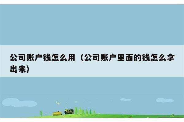 公司账户钱怎么用（公司账户里面的钱怎么拿出来） 