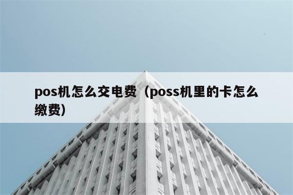 pos机怎么交电费（poss机里的卡怎么缴费） 