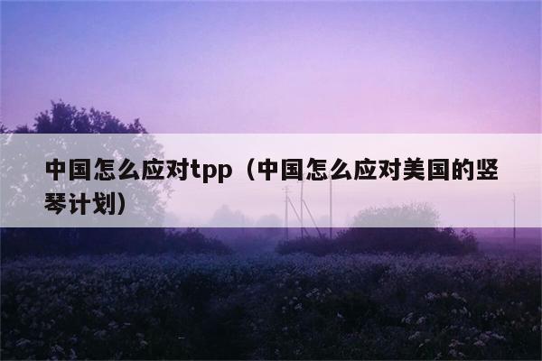 中国怎么应对tpp（中国怎么应对美国的竖琴计划） 