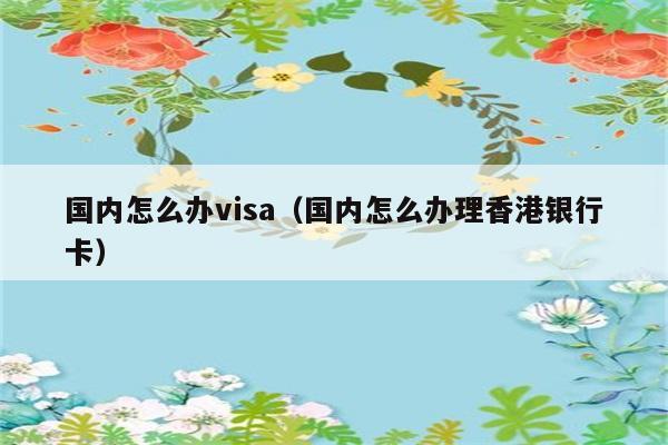 国内怎么办visa（国内怎么办理香港银行卡） 