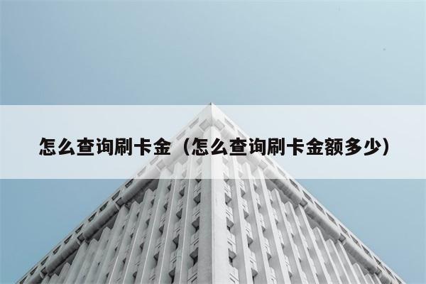 怎么查询刷卡金（怎么查询刷卡金额多少） 