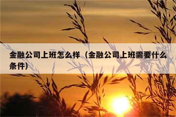 金融公司上班怎么样（金融公司上班需要什么条件） 