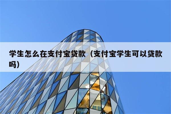 学生怎么在支付宝贷款（支付宝学生可以贷款吗） 