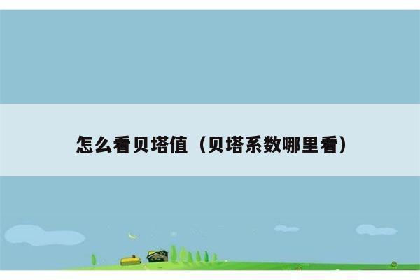 怎么看贝塔值（贝塔系数哪里看） 