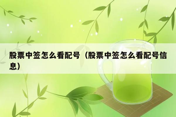 股票中签怎么看配号（股票中签怎么看配号信息） 