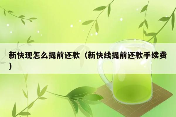 新快现怎么提前还款（新快线提前还款手续费） 