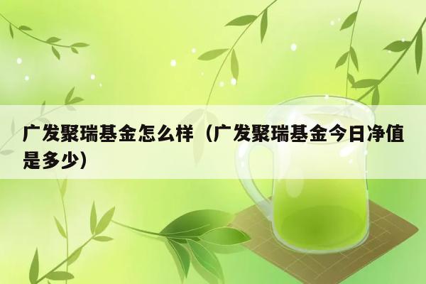 广发聚瑞基金怎么样（广发聚瑞基金今日净值是多少） 