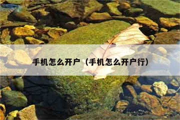 手机怎么开户（手机怎么开户行） 