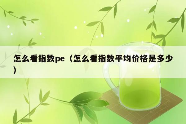 怎么看指数pe（怎么看指数平均价格是多少） 