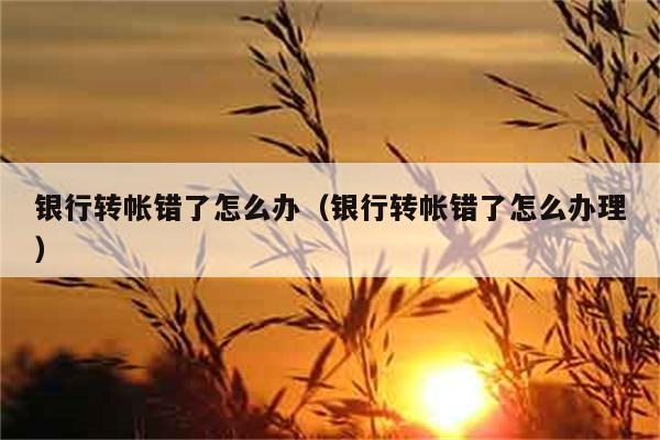 银行转帐错了怎么办（银行转帐错了怎么办理） 