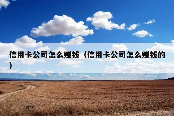 信用卡公司怎么赚钱（信用卡公司怎么赚钱的） 