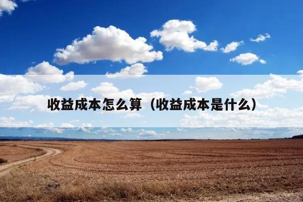 收益成本怎么算（收益成本是什么） 