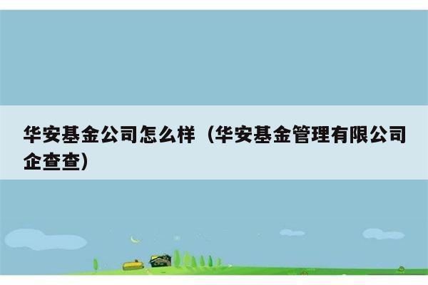 华安基金公司怎么样（华安基金管理有限公司企查查） 