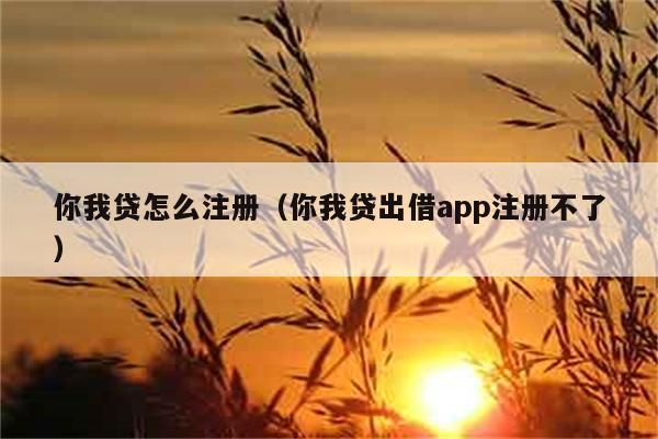 你我贷怎么注册（你我贷出借app注册不了） 