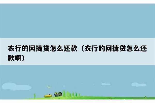 农行的网捷贷怎么还款（农行的网捷贷怎么还款啊） 