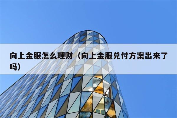 向上金服怎么理财（向上金服兑付方案出来了吗） 