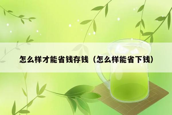 怎么样才能省钱存钱（怎么样能省下钱） 