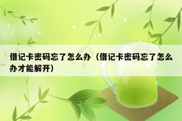 借记卡密码忘了怎么办（借记卡密码忘了怎么办才能解开） 