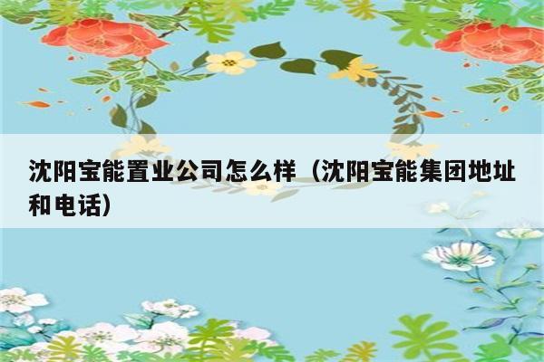 沈阳宝能置业公司怎么样（沈阳宝能集团地址和电话） 