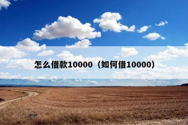 怎么借款10000（如何借10000） 