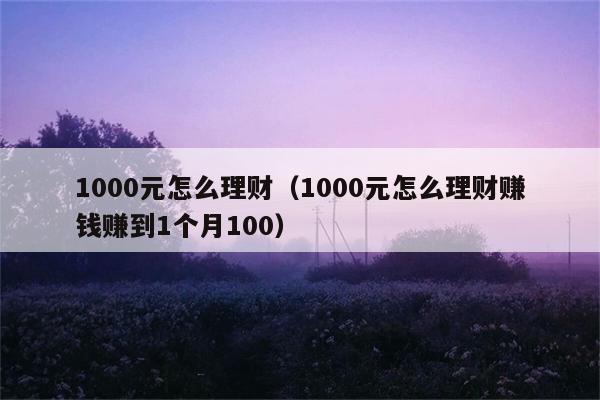 1000元怎么理财（1000元怎么理财赚钱赚到1个月100） 