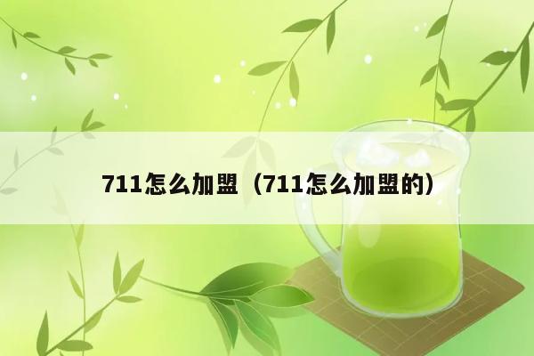 711怎么加盟（711怎么加盟的） 