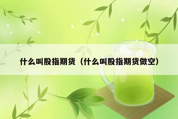 什么叫股指期货（什么叫股指期货做空） 