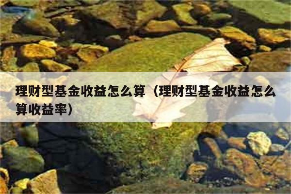 理财型基金收益怎么算（理财型基金收益怎么算收益率） 