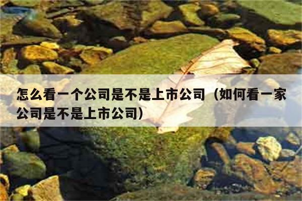 怎么看一个公司是不是上市公司（如何看一家公司是不是上市公司） 