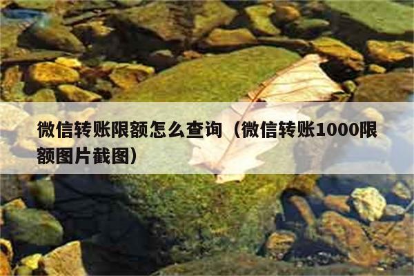 微信转账限额怎么查询（微信转账1000限额图片截图） 