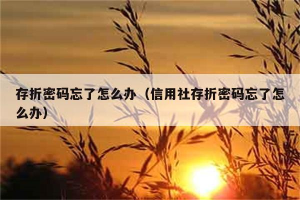 存折密码忘了怎么办（信用社存折密码忘了怎么办） 