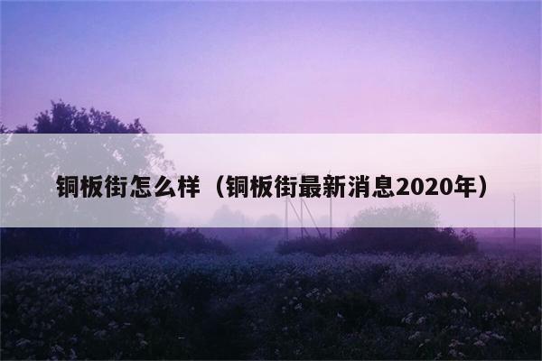 铜板街怎么样（铜板街最新消息2020年） 