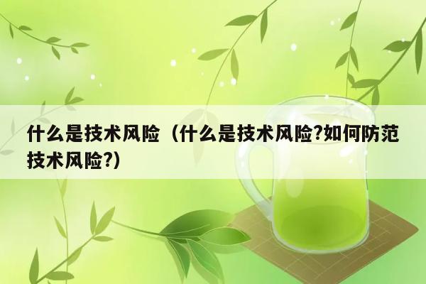 什么是技术风险（什么是技术风险?如何防范技术风险?） 