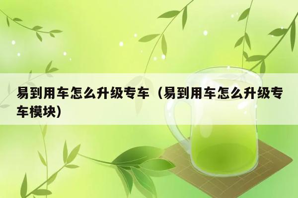 易到用车怎么升级专车（易到用车怎么升级专车模块） 