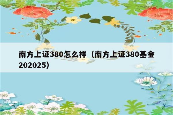 南方上证380怎么样（南方上证380基金202025） 