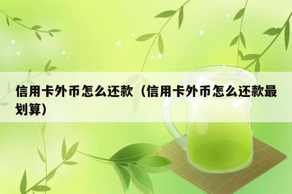 信用卡外币怎么还款（信用卡外币怎么还款最划算） 