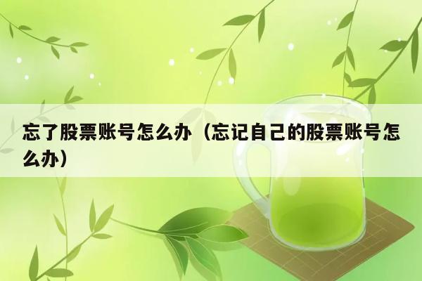 忘了股票账号怎么办（忘记自己的股票账号怎么办） 