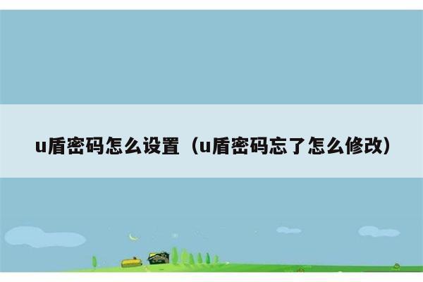 u盾密码怎么设置（u盾密码忘了怎么修改） 